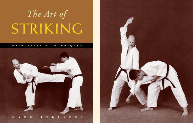 Sample pages from 'The Art of Striking'; one in a series of remarkable books that provide an in-depth look at the core concepts and techniques shared by a broad range of martial arts styles. Contains over 400 practical strikes including arm strikes, kicks, head butts, blocking and avoiding skills, combinations, and counters.