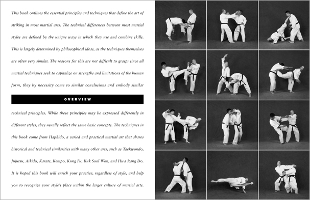 Sample pages from 'The Art of Striking'; one in a series of remarkable books that provide an in-depth look at the core concepts and techniques shared by a broad range of martial arts styles. Contains over 400 practical strikes including arm strikes, kicks, head butts, blocking and avoiding skills, combinations, and counters.