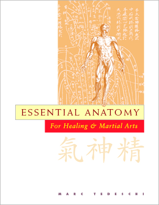 book cover of Essential Anatomy For Healing and Martial Arts; a unique book that familiarizes healing practitioners and martial artists with basic concepts of the human body, as defined by both Western and Eastern medical traditions. Comprehensive, easy to understand, and lavishly illustrated in full color. Specially designed for students, healing professionals, and martial artists.