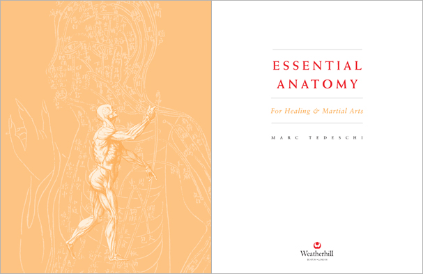 Sample pages from 'Essential Anatomy for Healing and Martial Arts'; a unique book that familiarizes healing practitioners and martial artists with basic concepts of the human body, as defined by both Western and Eastern medical traditions. Comprehensive, easy to understand, and lavishly illustrated in full color. Specially designed for students, healing professionals, and martial artists.