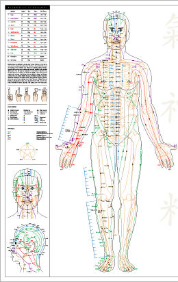 Essential Acupoints Poster