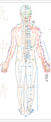 Essential Acupoints Poster