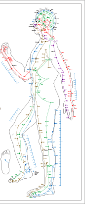 Essential Acupoints Poster