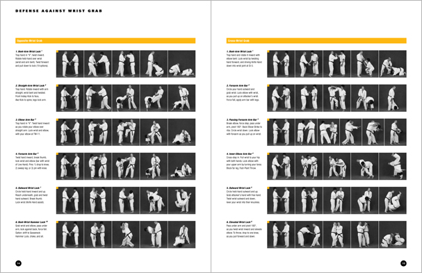 Sample pages from Hapkido Manuals by Marc Tedeschi, an invaluable series of concise affordable study-guides summarizing all Hapkido belt ranks, from novice to master-level.