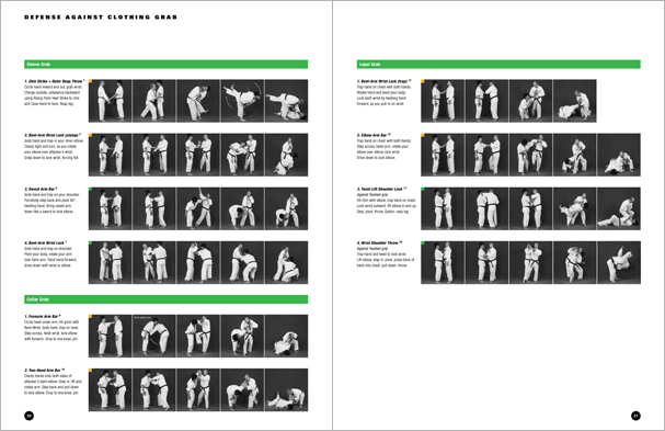 Sample pages from Hapkido Manuals by Marc Tedeschi, an invaluable series of concise affordable study-guides summarizing all Hapkido belt ranks, from novice to master-level.