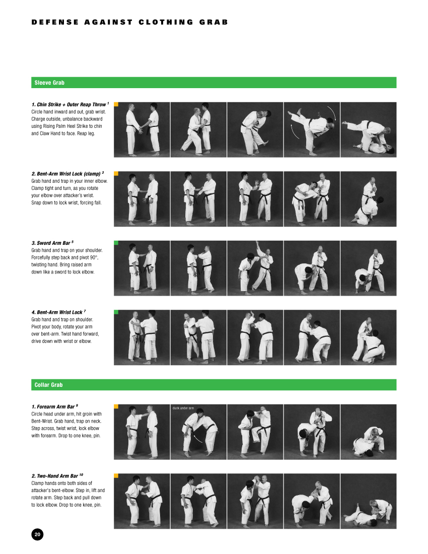 Sample pages from Hapkido Manuals by Marc Tedeschi, an invaluable series of concise affordable study-guides summarizing all Hapkido belt ranks, from novice to master-level.