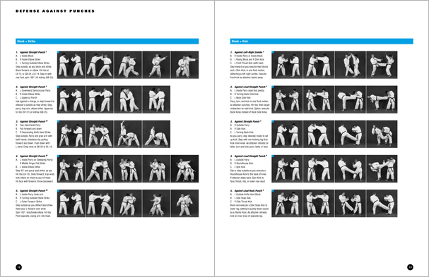 Sample pages from Hapkido Manuals by Marc Tedeschi, an invaluable series of concise affordable study-guides summarizing all Hapkido belt ranks, from novice to master-level.