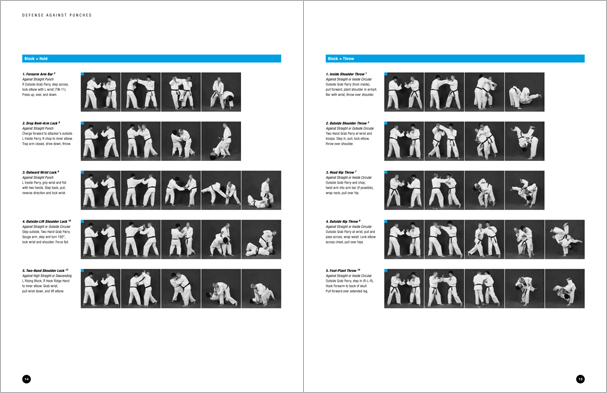 Sample pages from Hapkido Manuals by Marc Tedeschi, an invaluable series of concise affordable study-guides summarizing all Hapkido belt ranks, from novice to master-level.