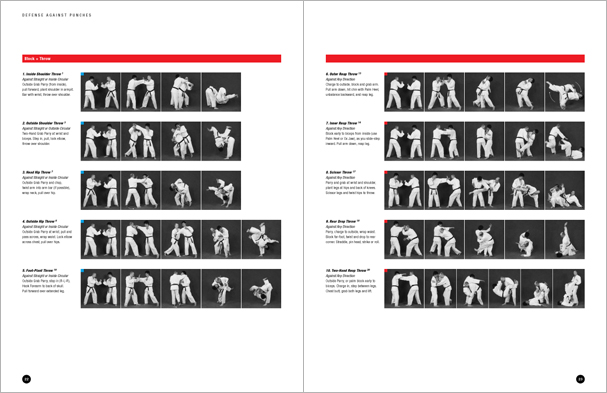 Sample pages from Hapkido Manuals by Marc Tedeschi, an invaluable series of concise affordable study-guides summarizing all Hapkido belt ranks, from novice to master-level.