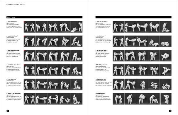 Sample pages from Hapkido Manuals by Marc Tedeschi, an invaluable series of concise affordable study-guides summarizing all Hapkido belt ranks, from novice to master-level.