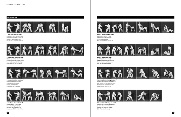 Sample pages from Hapkido Manuals by Marc Tedeschi, an invaluable series of concise affordable study-guides summarizing all Hapkido belt ranks, from novice to master-level.