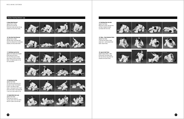 Sample pages from Hapkido Manuals by Marc Tedeschi, an invaluable series of concise affordable study-guides summarizing all Hapkido belt ranks, from novice to master-level.