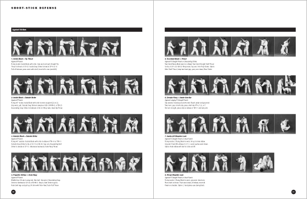 Sample pages from Hapkido Manuals by Marc Tedeschi, an invaluable series of concise affordable study-guides summarizing all Hapkido belt ranks, from novice to master-level.