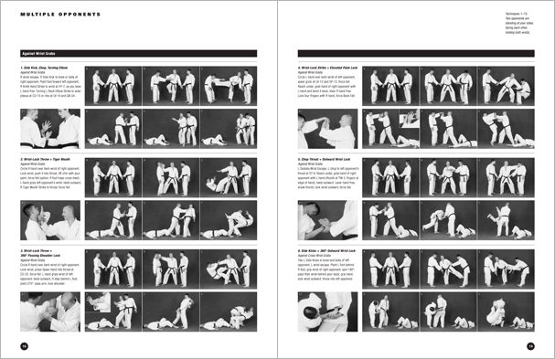 Sample pages from Hapkido Manuals by Marc Tedeschi, an invaluable series of concise affordable study-guides summarizing all Hapkido belt ranks, from novice to master-level.