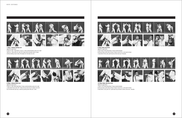 Sample pages from Hapkido Manuals by Marc Tedeschi, an invaluable series of concise affordable study-guides summarizing all Hapkido belt ranks, from novice to master-level.