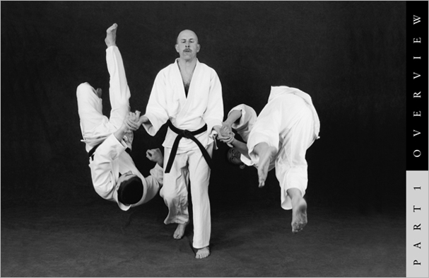 Sample pages from 'Hapkido', the most comprehensive book ever written on a single martial art; 1136 pages, 9000 photos, 2000 martial techniques.