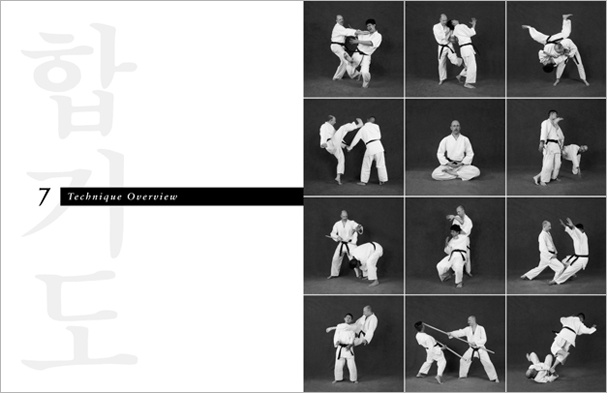 Sample pages from 'Hapkido', the most comprehensive book ever written on a single martial art; 1136 pages, 9000 photos, 2000 martial techniques.