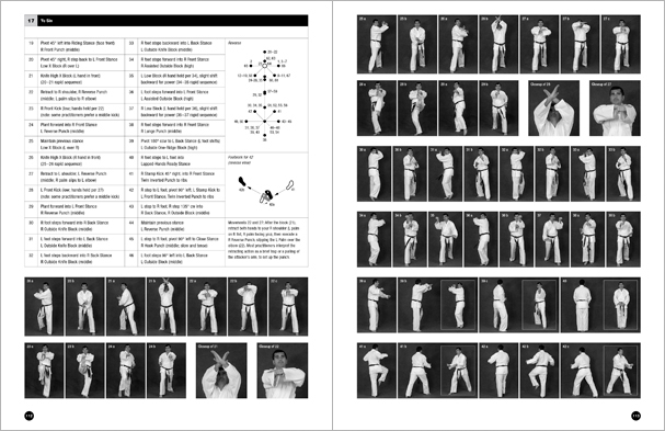 Marc Tedeschi Taekwondo Book Complete Itf Patterns Sample Pages