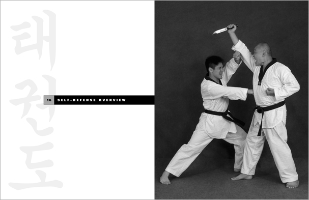 Sample pages from 'Taekwondo', the most comprehensive book ever written on the world's most popular martial art; 896 pages, 8600 photos, Traditional and Olympic-Style.