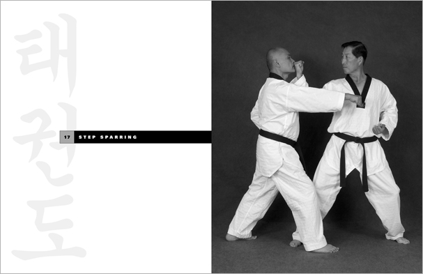 Sample pages from 'Taekwondo', the most comprehensive book ever written on the world's most popular martial art; 896 pages, 8600 photos, Traditional and Olympic-Style.