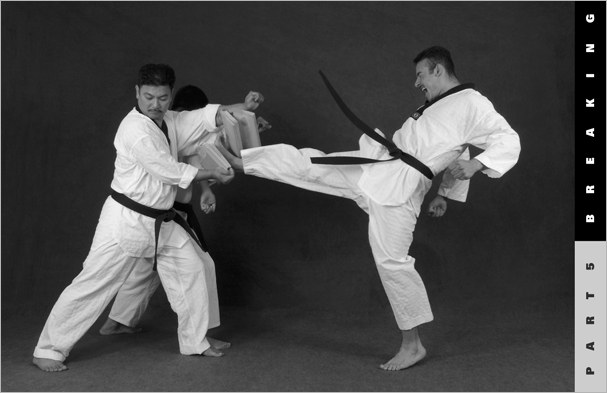 Sample pages from 'Taekwondo', the most comprehensive book ever written on the world's most popular martial art; 896 pages, 8600 photos, Traditional and Olympic-Style.