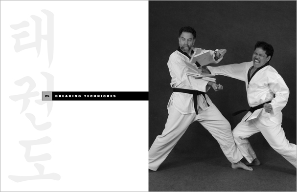 Sample pages from 'Taekwondo', the most comprehensive book ever written on the world's most popular martial art; 896 pages, 8600 photos, Traditional and Olympic-Style.