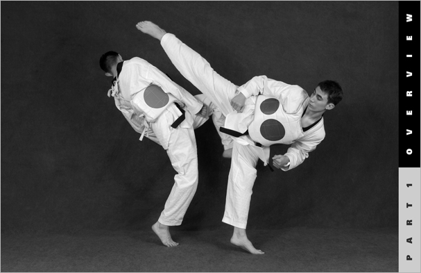 Sample pages from 'Taekwondo: The Essential Introduction', the first introductory text to provide a concise overview of Taekwondo in its entirety, with essential material for novices.