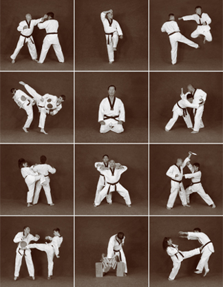 Photos of Taekwondo techniques performed by masters and elite athletes