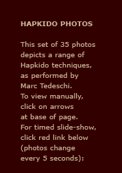 Hapkido Photos: This set of 35 photos depicts a range of Hapkido techniques, as performed by Marc Tedeschi. To view manually, click on arrows at base of page. For timed slide-show, click red link below (photos change every 5 seconds).